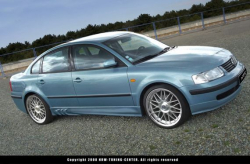 VW Passat 3B Seitenschweller 3D mit T�v