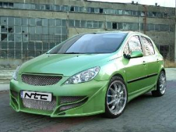 Frontsto�stange Peugeot 307 Japan-Style