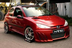 Peugeot 206 Fronsto�stange im High-Design