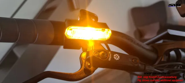 SW-Steereon C30 E-Scooter Klappbar mit Sitz 500W-Motor 2026-Version