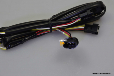SW-Celi LED Rckleuchten passend fr Tesla Model 3 Typ 003 17-24 / Model Y 21-24 BLACK/smoke Lightbar