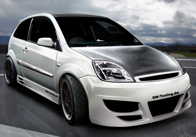 Ford fiesta mk6 water in door #3